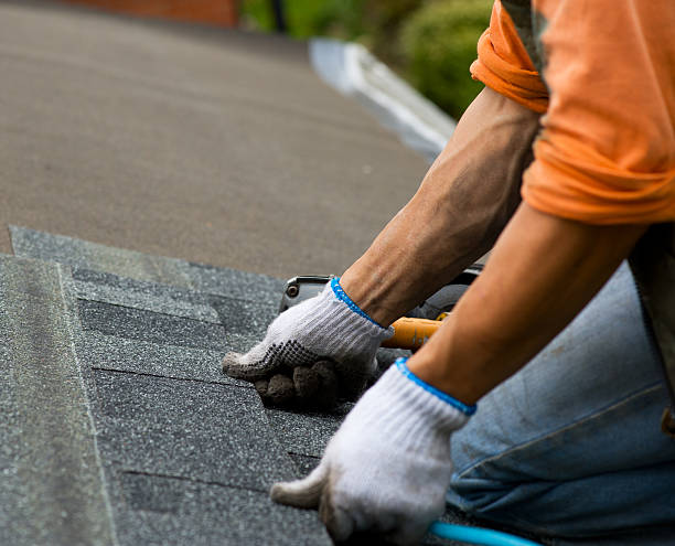 Best Roof Leak Repair  in Morton Grove, IL