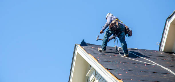 Best Metal Roofing Contractor  in Morton Grove, IL
